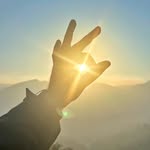 awara_insaaan profile picture