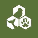 awionline profile picture