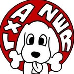 axlzero_staff profile picture