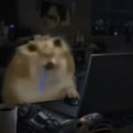 ayaanfixed profile picture