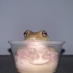 ayakyl profile picture