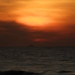 ayanacharya13 profile picture