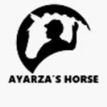 ayarzashorse profile picture