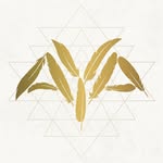 aya_sacredwear profile picture