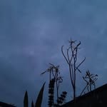 aye_myclicks profile picture