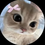 ayeshaparveen.39 profile picture