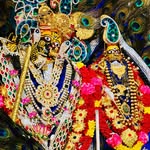 ayesha_soni_ji profile picture
