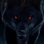 aymen_loupp profile picture