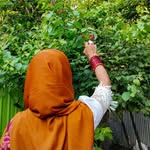 ayrin9877 profile picture