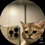 ayshaaa_523 profile picture