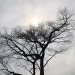 ayu_novalia profile picture