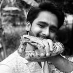 ayush_________2002 profile picture