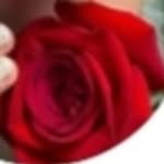 ayushakroliya profile picture