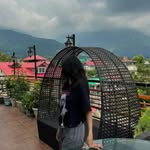 ayushi_kodli_ profile picture