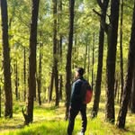 ayush_negi908 profile picture