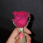 ayush_sah560 profile picture