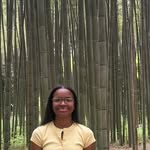 azapark profile picture