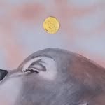 azarkosepela profile picture