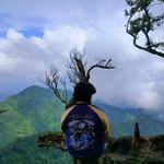 aziezsulewa profile picture