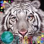 azk4love profile picture
