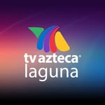 aztecalaguna profile picture