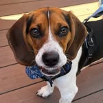 b.entley_parker profile picture