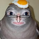 b1rdo_0 profile picture