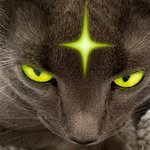 b1uthecat profile picture