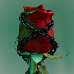 b_l_i_o_u_x profile picture