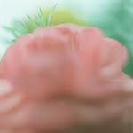 b_l_o_o_m_s_c_h_o_o_l profile picture