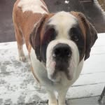 b_trahan1971 profile picture