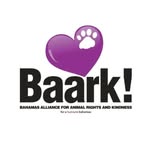 baarkbahamas profile picture