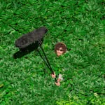 baauer profile picture