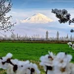 babayev1983_10 profile picture