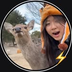 babblershi profile picture
