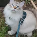 babino.and.bruce profile picture