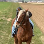 babsii.rd profile picture