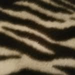 baby.boo1423 profile picture