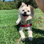 baby.navi profile picture