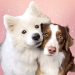 babybearyuki profile picture