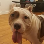 babygirl_furever profile picture