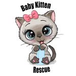 babykittenrescue profile picture