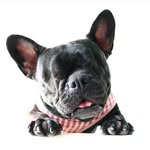 baby_milly_ profile picture