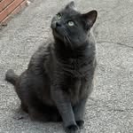 baby_sofia_la_douce profile picture