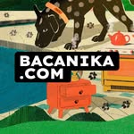 bacanika profile picture