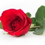 bachelor_bachelorette_usa profile picture