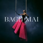 bachmai profile picture