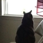 bacio430 profile picture