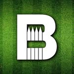 backyardbreaks profile picture