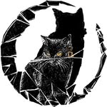 baddluckproductions profile picture
